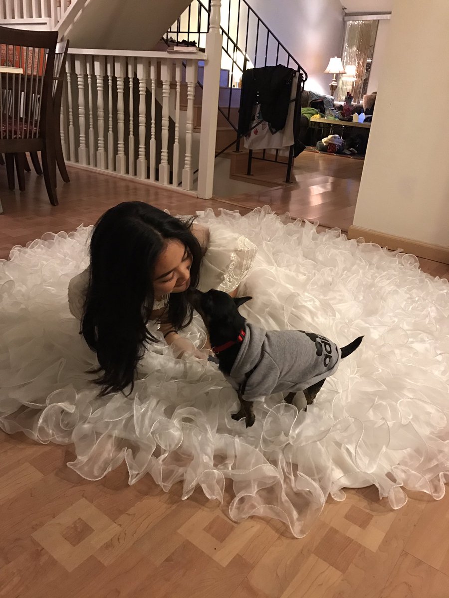 charlaaame's tweet photo. // thread of jafar being my cute lil bff bc i need that kinda positivity on my twitter (+ sumn i can look back on) 🤗🐾 https://t.co/l6sUcWhx6C