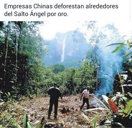DolarToday's tweet photo. ¿Y ésto no es traición a la patria; entregar el territorio nacional,sus recursos a potencia extranjera?¡han destruido patrimonio humanidad! https://t.co/XJyAowEIOq