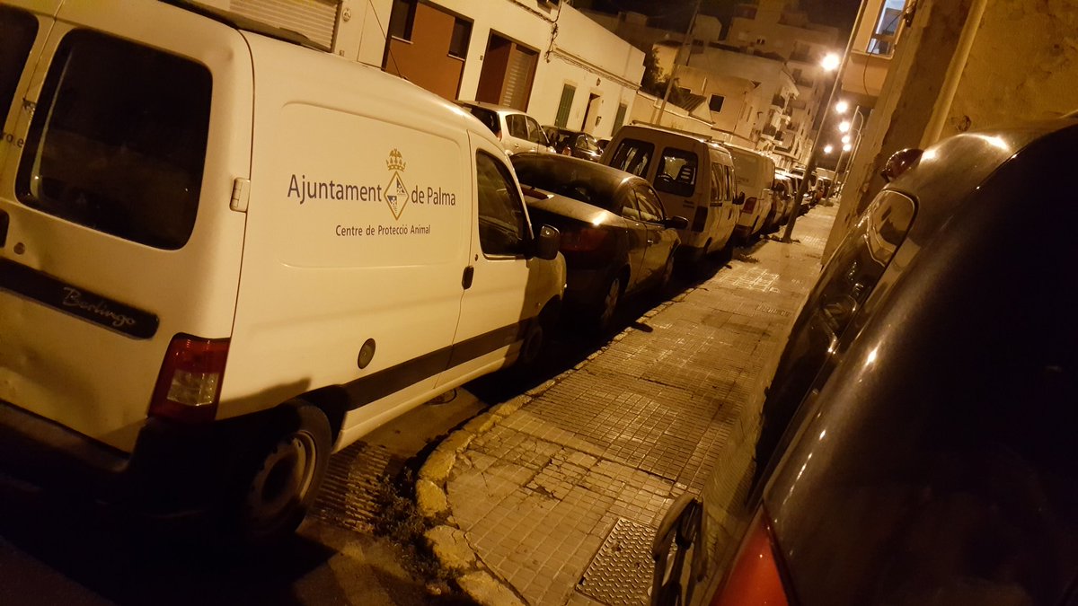 Alex_Requeni's tweet photo. Un poco feo que una furgoneta del @ajuntpalma  impida girar durante toda la noche a los ciudadanos no? #estacionarEnInterseccion https://t.co/2CeCwg7v9a