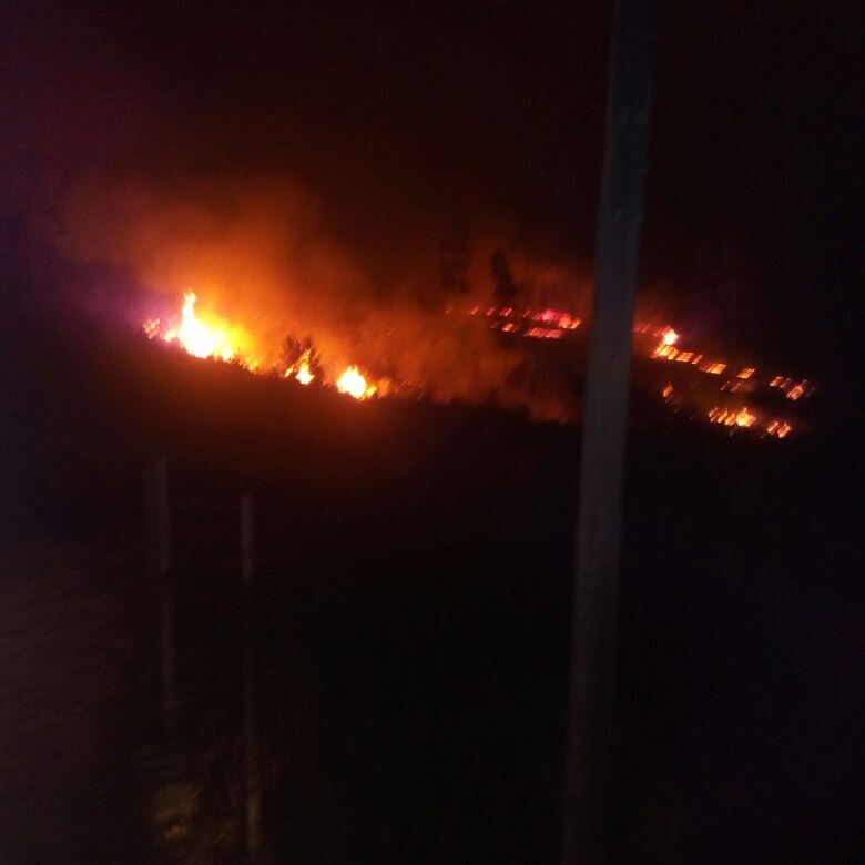 firefighterdavi's tweet photo. Vai ser uma noite em branco #viladorei #fireflorest #gruatasetubal https://t.co/sOEBTQRV53