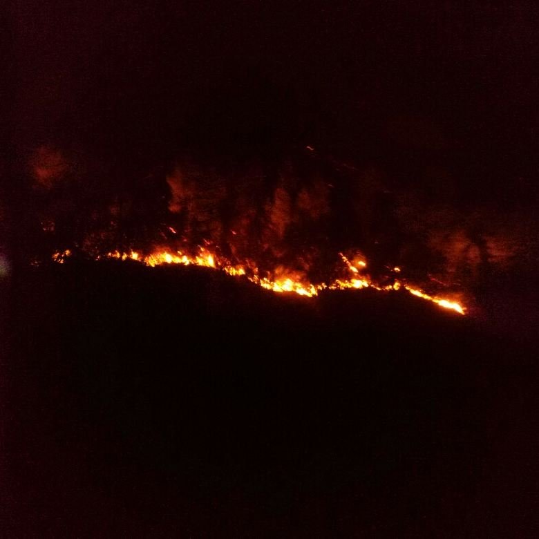 firefighterdavi's tweet photo. Vai ser uma noite em branco #viladorei #fireflorest #gruatasetubal https://t.co/sOEBTQRV53