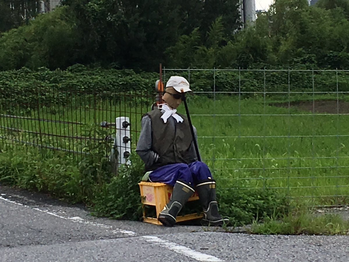 sui_215's tweet photo. 急に道にこんなの居たらビビるわ https://t.co/WeFIrCnD2k