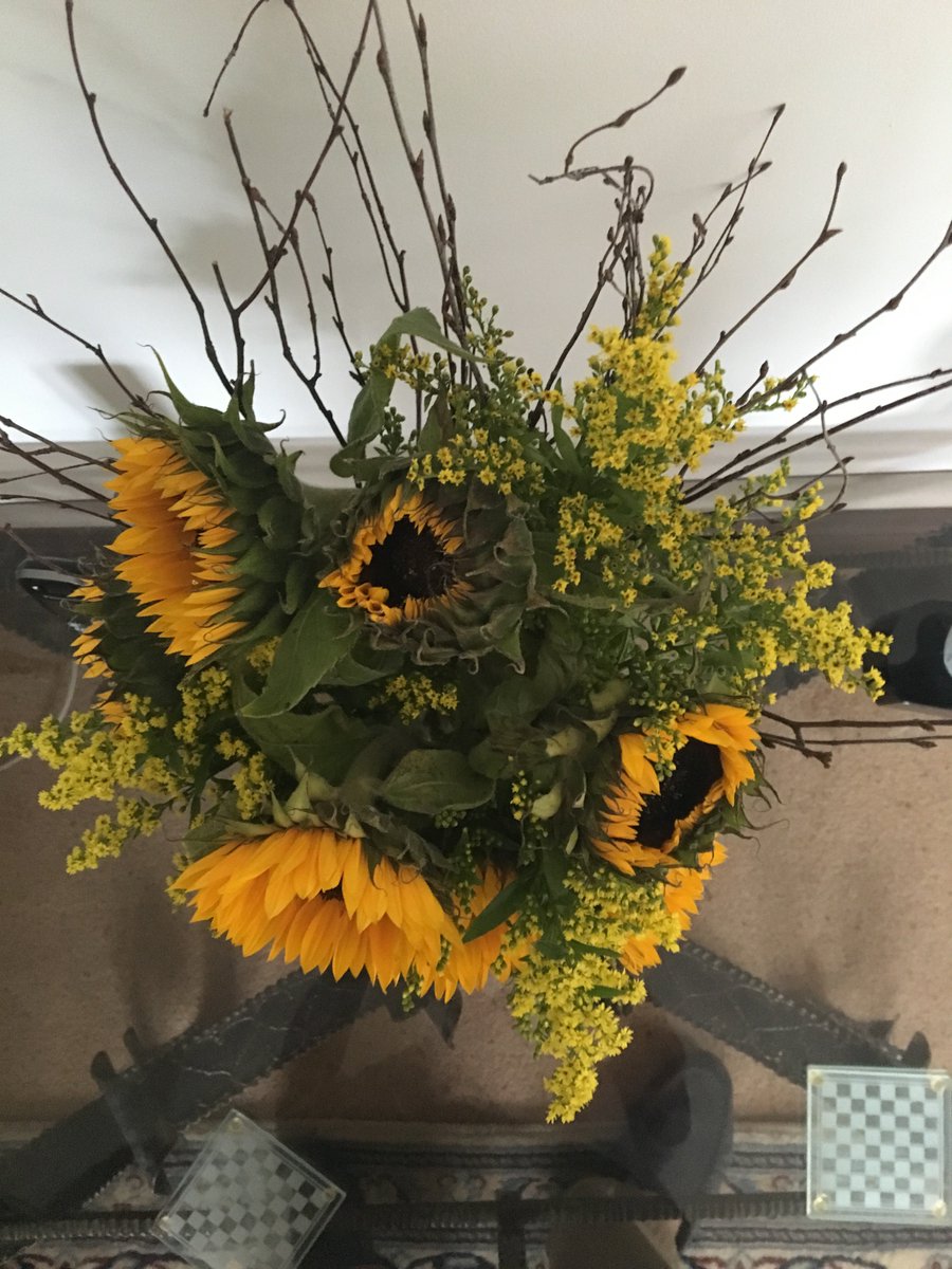 DeadFredMovie's tweet photo. Very disappointed with sunflowers for over £30 sent as buds 5 days and still not fully open &amp; leaves now wilting. Customer service bad https://t.co/suJ1LuxB77