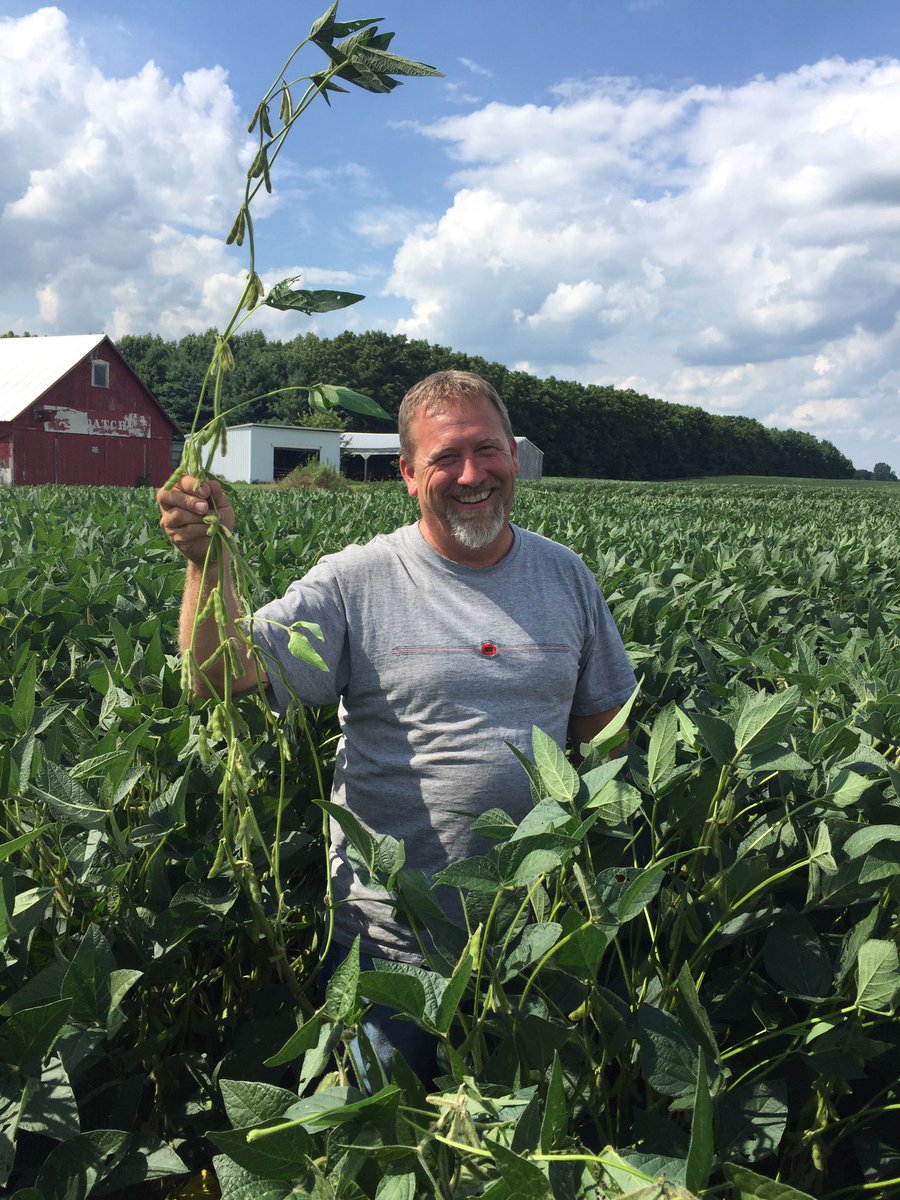 sassyagronomist's tweet photo. @ChannelSeed #soybeans 1917R2X looking great in northern Indiana! Love us some 4 bean pods! #FCUS #SMSAW #XtendYourYield #Placed2Perform https://t.co/J49HmSP5zG