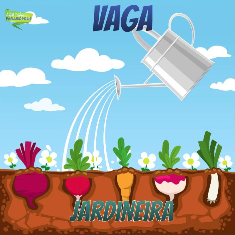 Projeto Horta na Laje abre vaga de jardineira para atuar em Paraisópolis espacodopovo.com.br/projeto-horta-…