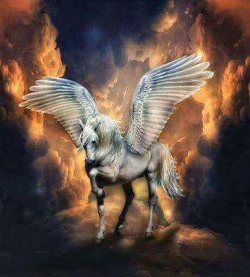 <a href="/kutty00007/">Kutty</a> <a href="/r95731/">💓 s a R a v 💓 🇮🇳मेरा भारत महान🇮🇳 🥰100 K+🥰</a> <a href="/lechim95/">Lechim</a> <a href="/coop2652/">Rich  Cooper</a> <a href="/KennethIvanPal3/">Kenneth Ivan Palmer</a> <a href="/pepperpicker11/">JOHNPLAYER316@gmail.</a>