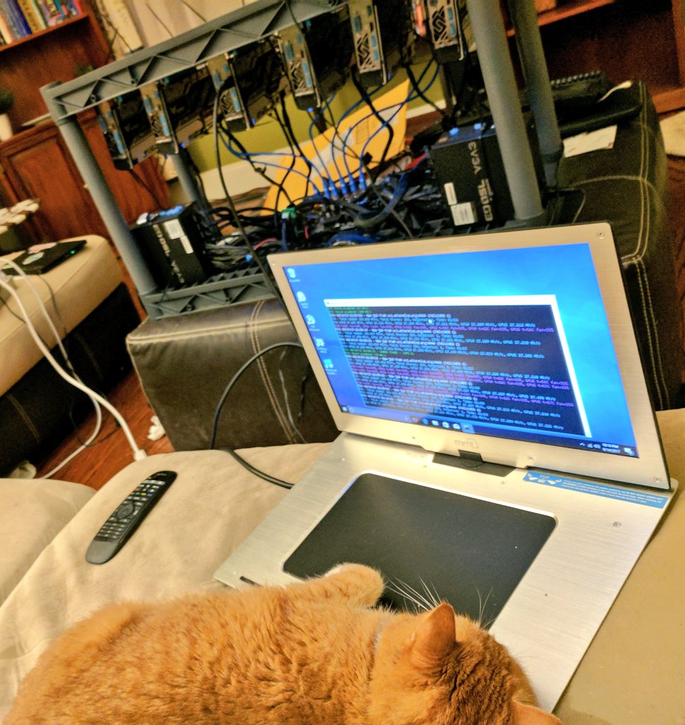 lgleasain's tweet image. The coins literally mine themselves #purrprogramming