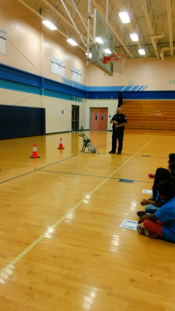 SISD_Multilingu's tweet photo. We win as team. Officer Puente and K-9 Paco visited our Summer Enrichment Camp for ELLs. Do you know Paco understands Spanish? #IamSpring https://t.co/UsphvxxC9M