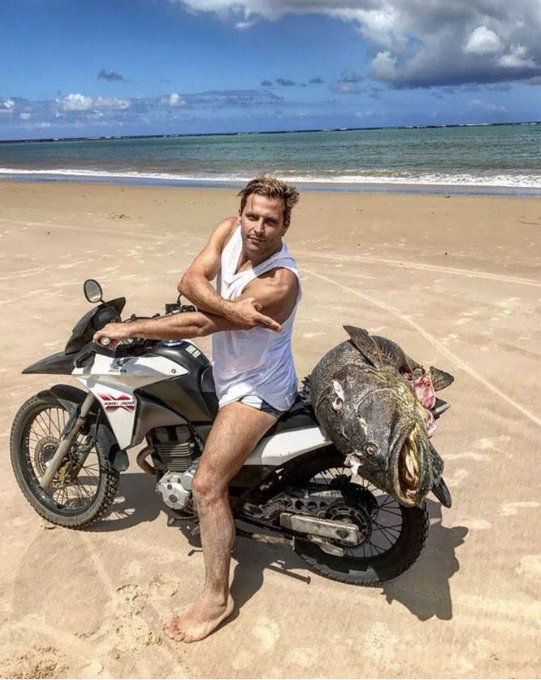 Ver imagem no Twitter Ver imagem no Twitter