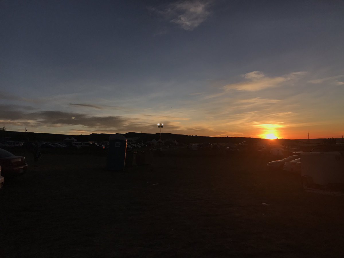 valettaaaa's tweet photo. forest, bloom, summer camp, infrasound skies https://t.co/Jxh9HGZC9U