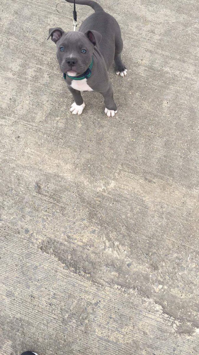 RolandoContre12's tweet photo. Open for a suprise https://t.co/ZsY07k2ZZa