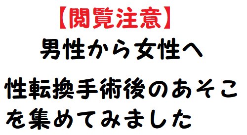 れい 女装子 男から女へ ニューハーフの登竜門 性転換手術後のあそこを集めてみた T Co Strj1qtbde T Co Vzw7l3hyss