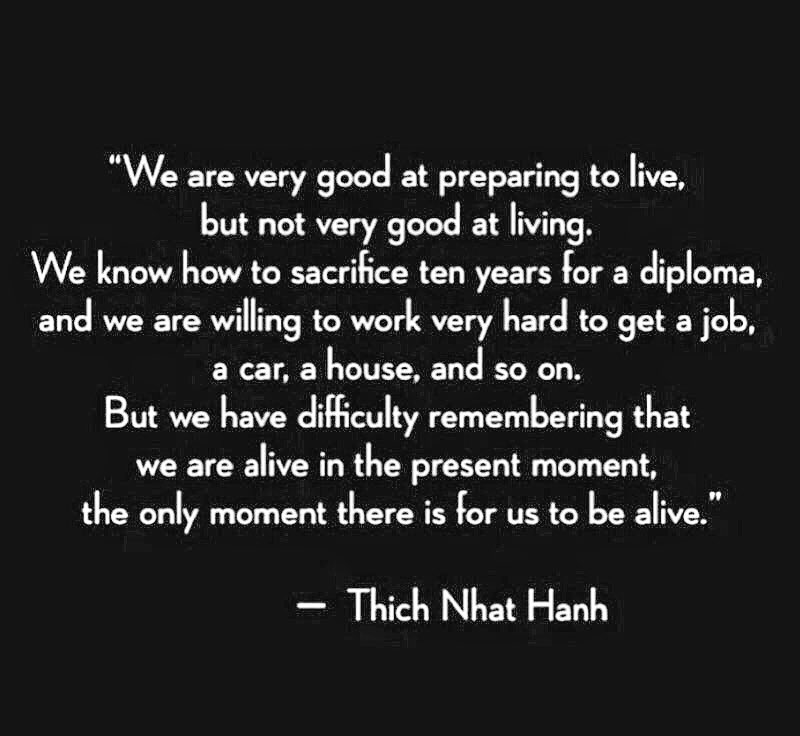 you're alive ✔️ ShurkyJurky.com