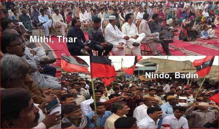 سربراھُ قومی عوامی تحریک ایاز لطیف پلیجو  13 آگست کو مٹھی نندو  کرپشن کے خلاف ایک ریلی جس کے بعد جلسے سے خطاب کیا