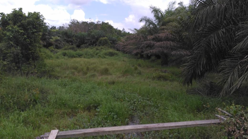 giftasusanti's tweet photo. Survey lokasi pembngunan embung ds.Bukit Sungkai @tppindonesia @KemenDesa @EkoSandjojo @CandraSukma13 @HerryYuliano https://t.co/2aapiIxPN7