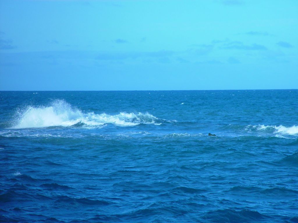 Океан меняется. Star ocean 1. Северный полюс антарктида или арктика. First ocean. Star ocean first departure r ps4.