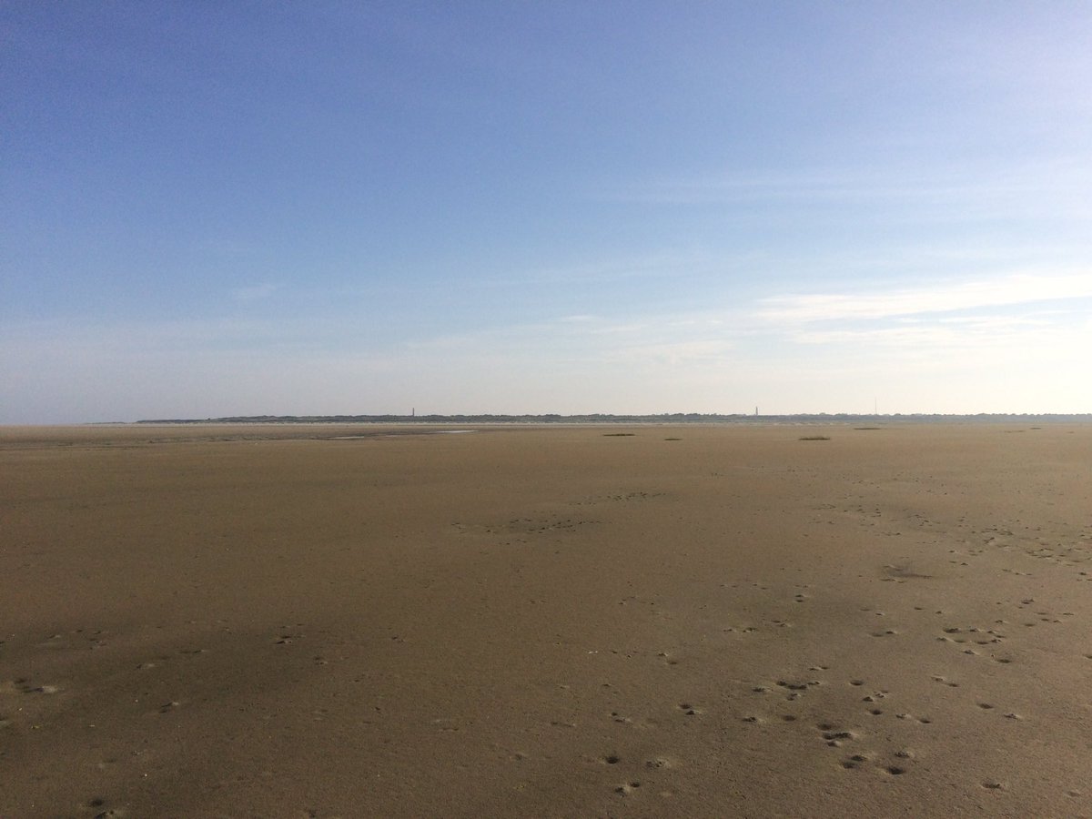 RobStiekema74's tweet photo. Mooi stuk gelopen op #Het Rif op #Schiermonnikoog. Indrukwekkende vlakte. Maar pfff, wel zwaar. Goede voorbereiding op #Berenloop. https://t.co/K0qNA919TM