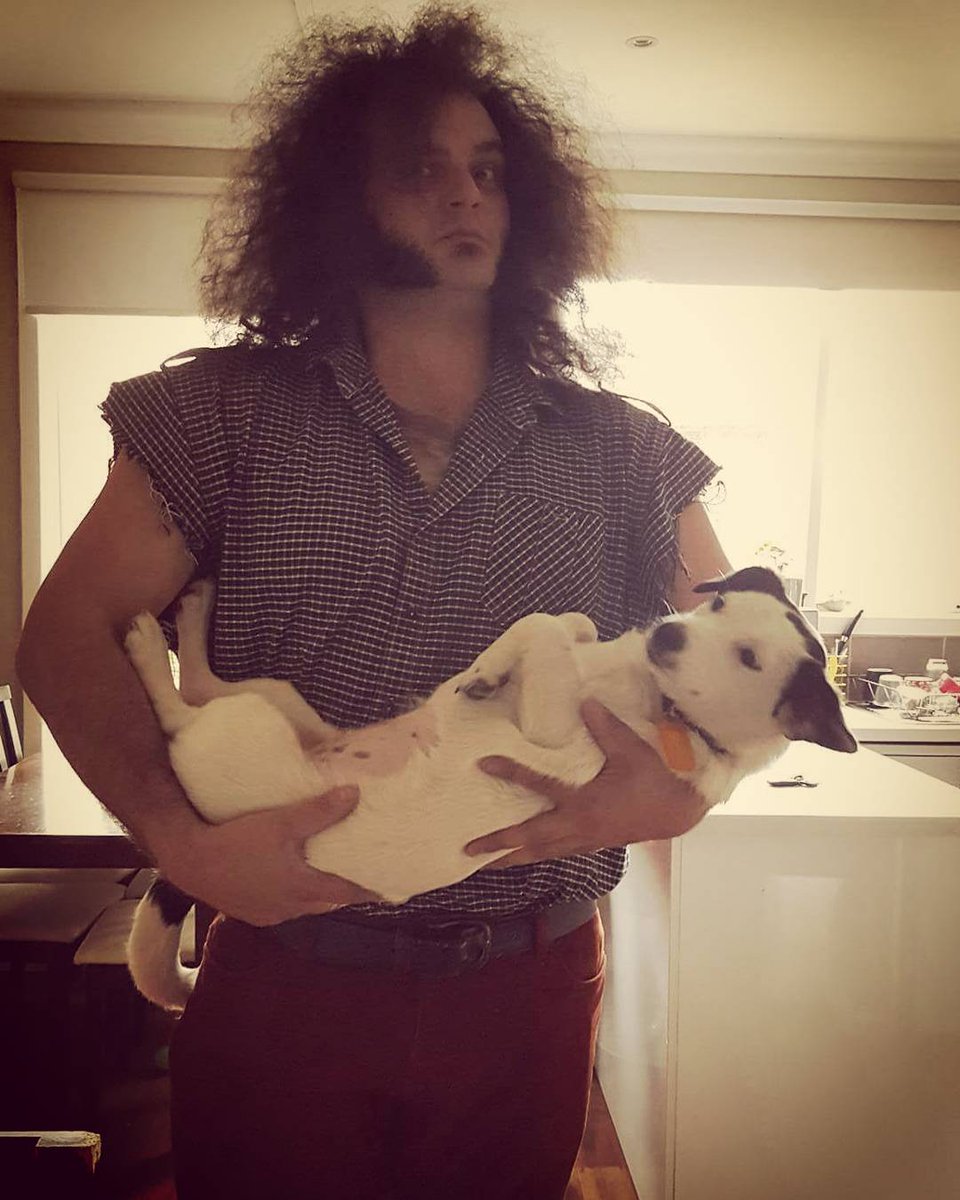 Dixie is looking for a good home. She is lovely and gives lots of kisses. You can find her at Second Chance Animal Rescue. Number: 93570834