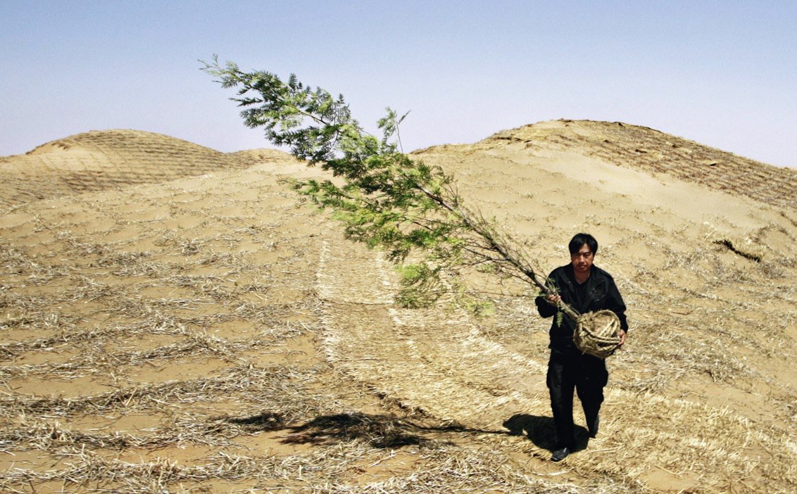 inthemoodfortw's tweet photo. The best time to plant a tree was 20 years ago. 
The next best time is now.

Chinese Proverb / Photo : Ningxia, Chine © Jason Lee https://t.co/4SCURL7xZB