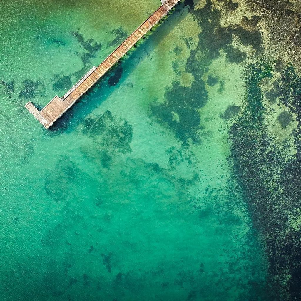 thegojetter's tweet photo. A pier too far
Loc : Half Moon Bay, Melbourne
••••••••••••••••••••••••••••••••••••••
#fromwhereidrone #letsgosomewhere #liveauthentic #life… https://t.co/RhpEF73BOe