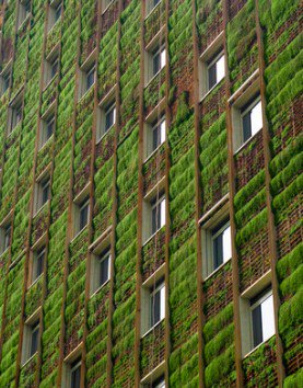 Ces jardins qui grimpent aux murs... Les avantages et les inconvénients des #mursvégétaux #livingwall po.st/Roveyc