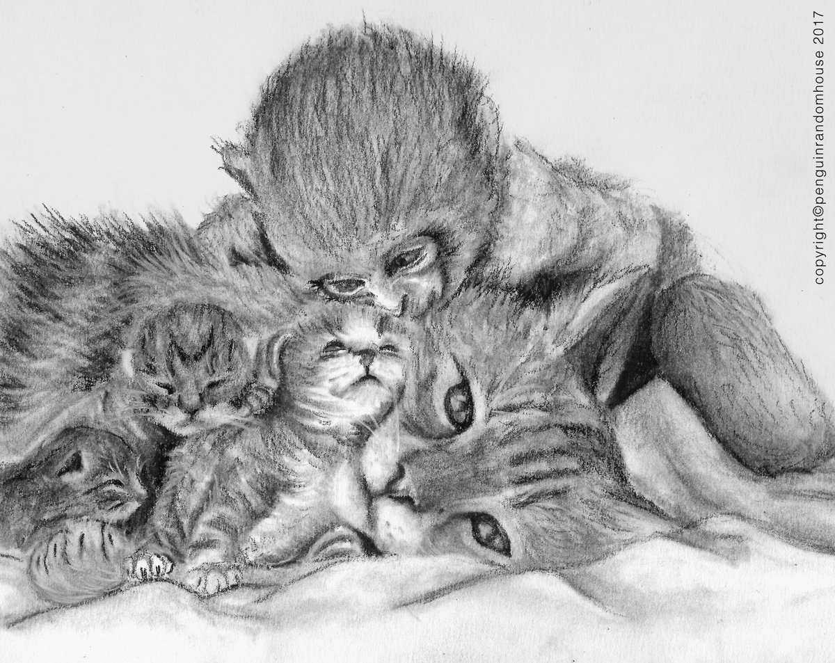 NickoMonkey's tweet photo. #Nicko's love for kittens was immense. Bobcat sometimes left her babies with the monkey as chief kittysitter. One day, he broke her trust... https://t.co/gKK2CPbdeo