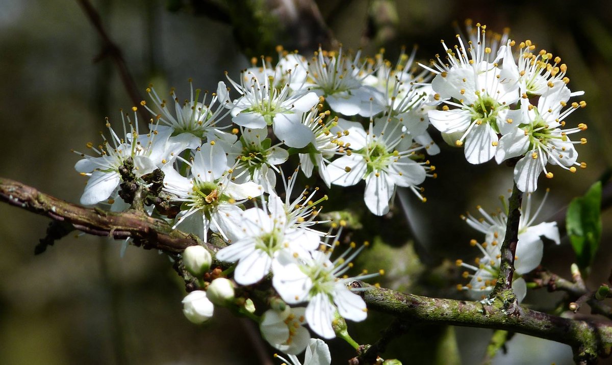 Mon frère fais vraiment de magnifique photo sérieux 😍😍