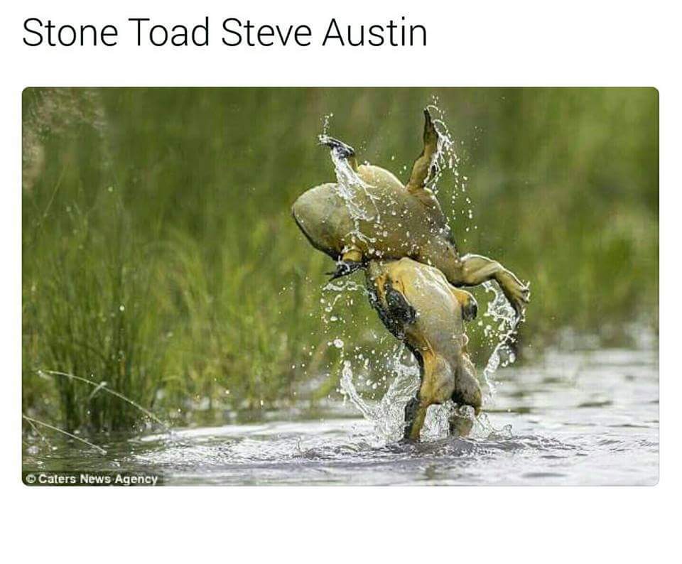 Hmburger's tweet photo. @classiclowlife I thought you would like this https://t.co/tP2ojjIZPc