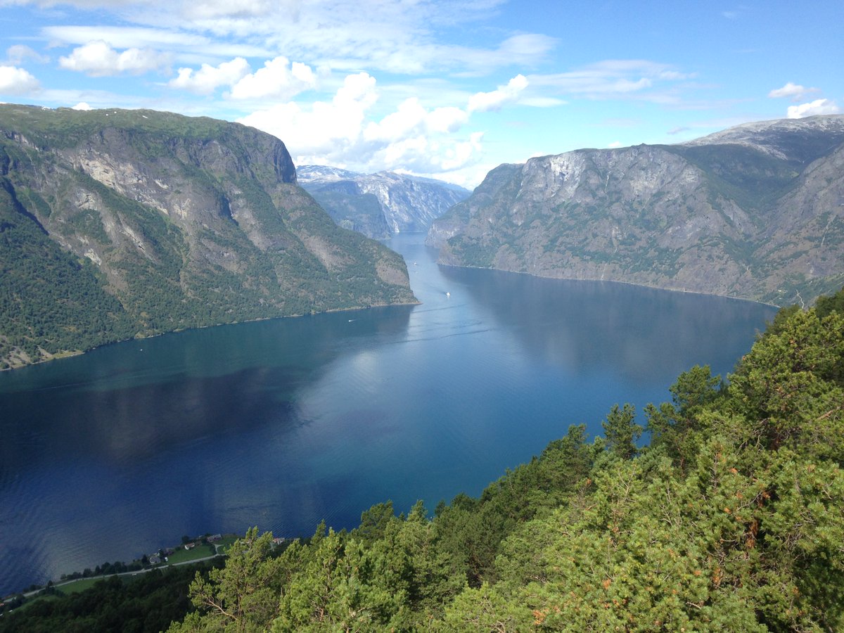 YokmoK (@yokmok) on Twitter photo 