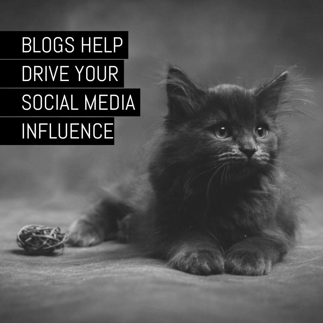 BlogANation's tweet image. We curate and match you with bloggers in the UK to help businesses thrive. 
@TheoPaphitis