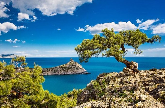 View image on Twitter