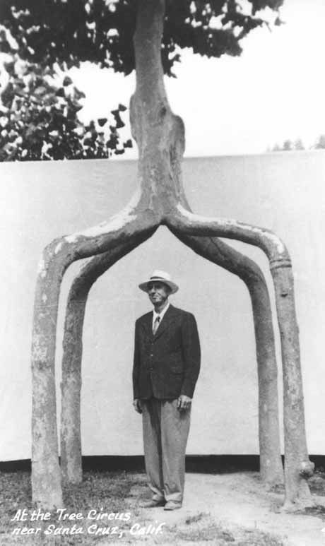 How to Grow a Chair: An Interview with Richard Reames  bit.ly/2vzFflX