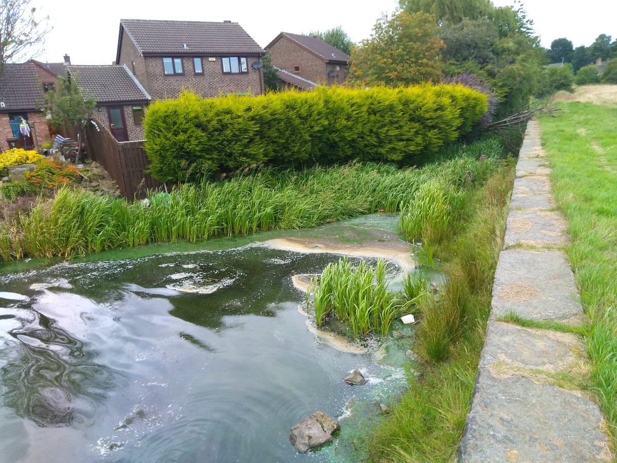 mickduffy1's tweet photo. Bottom of garden looking bit dodgy!#bradford.metro.#roydshall.dam.#bd12 https://t.co/MPcc3tVoZK
