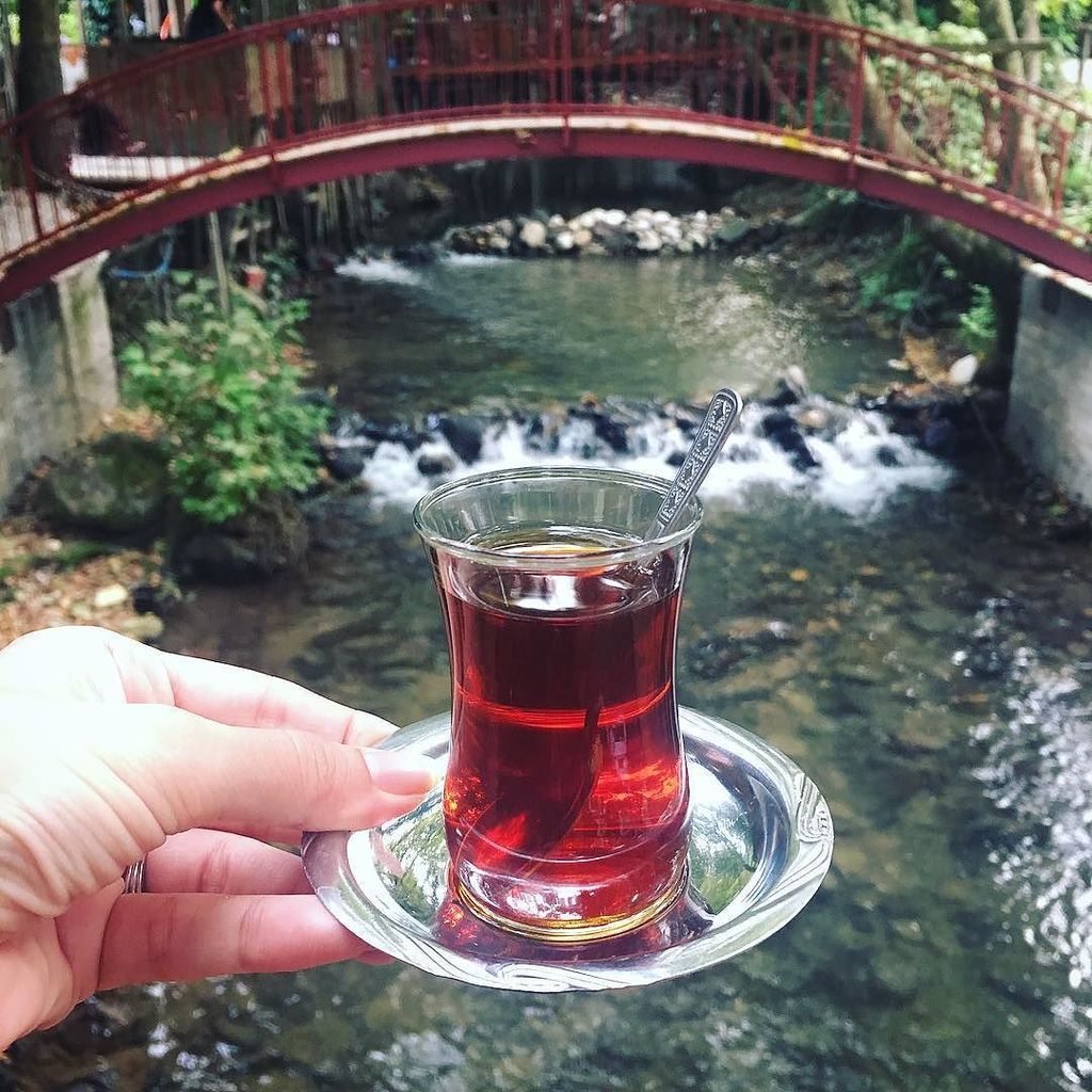 AlaHamdann's tweet photo. S I M P L E. P L E A S U R E S ~ โ๏ธ
.
#alawhilein #turkey #teaTime https://t.co/RxFw8jn47y
