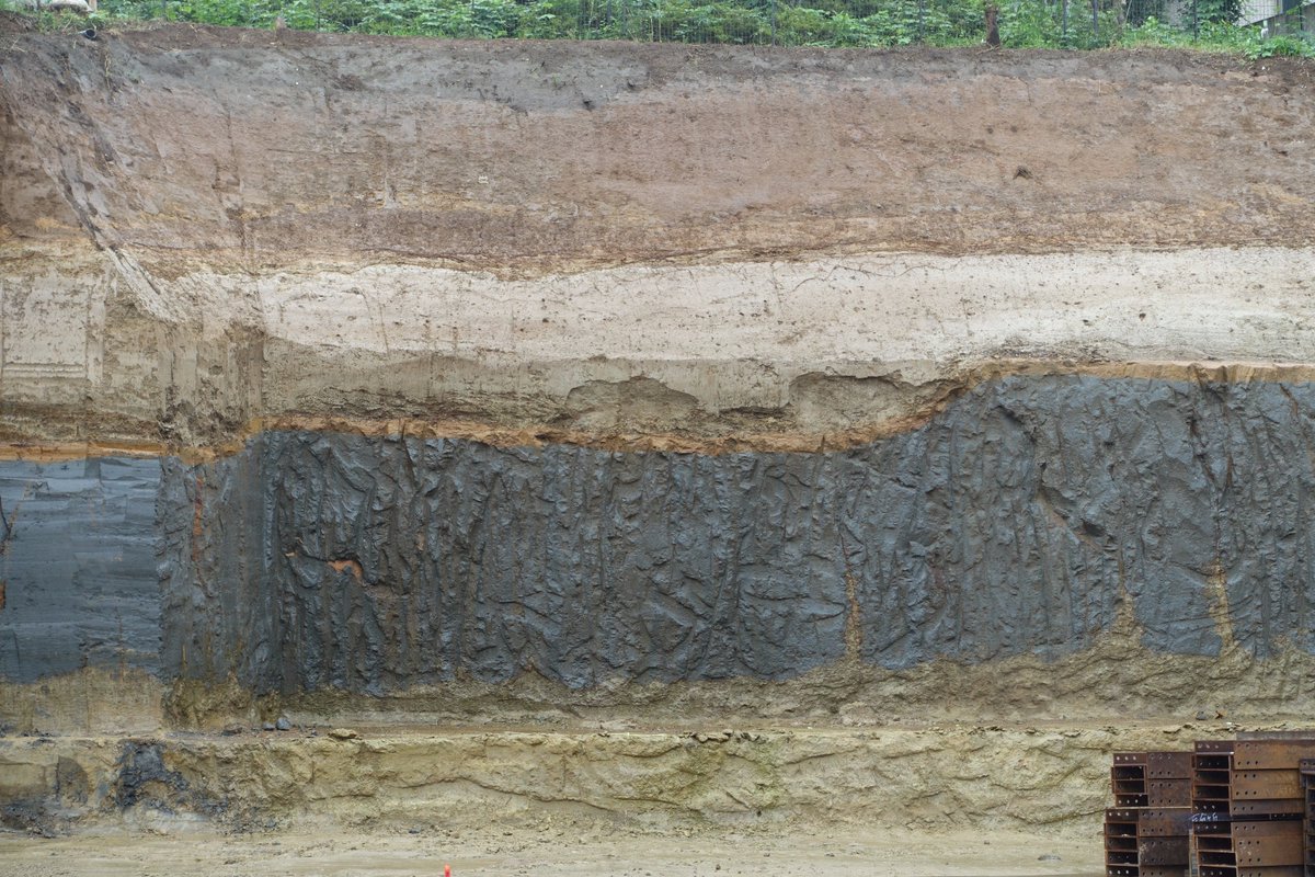 小田急線から見える地層があまりにも見事で美しいと話題に 教科書に載せてもいいレベル 美味しそう Togetter