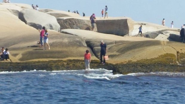 Brett_CBC's tweet photo. 12-foot great white shark spotted last night off Peggys Cove, NS.
(Upping the stakes on the "stay off the black rocks" warnings.) https://t.co/athBND4Lsm
