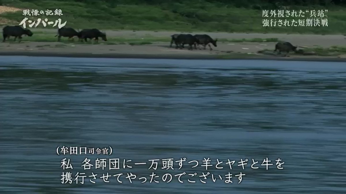 Nhk 戦慄の記録 インパール を見た感想 牟田口廉也は現代のブラック企業社長 インパール作戦 Nhkスペシャル Togetter Nhk 戦慄の記録 インパール を見た感想 牟田口廉也は現代のブラック企業社長 インパール作戦 Nhkスペシャル Togetter