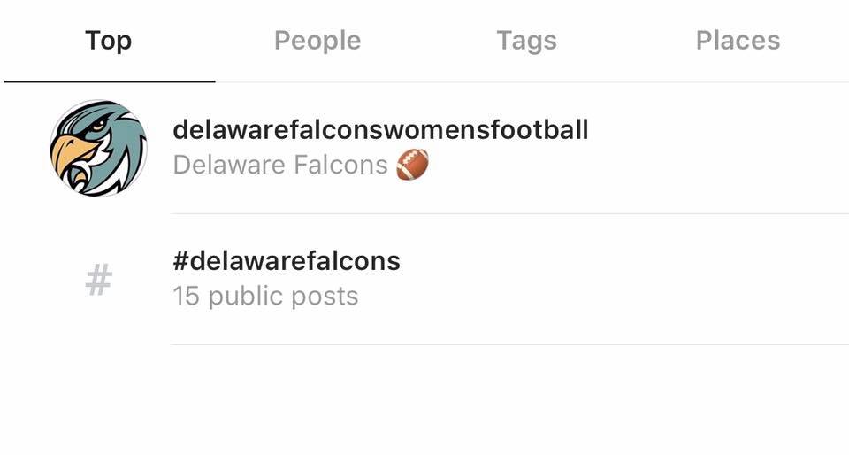 Delaware Falcons tweet media