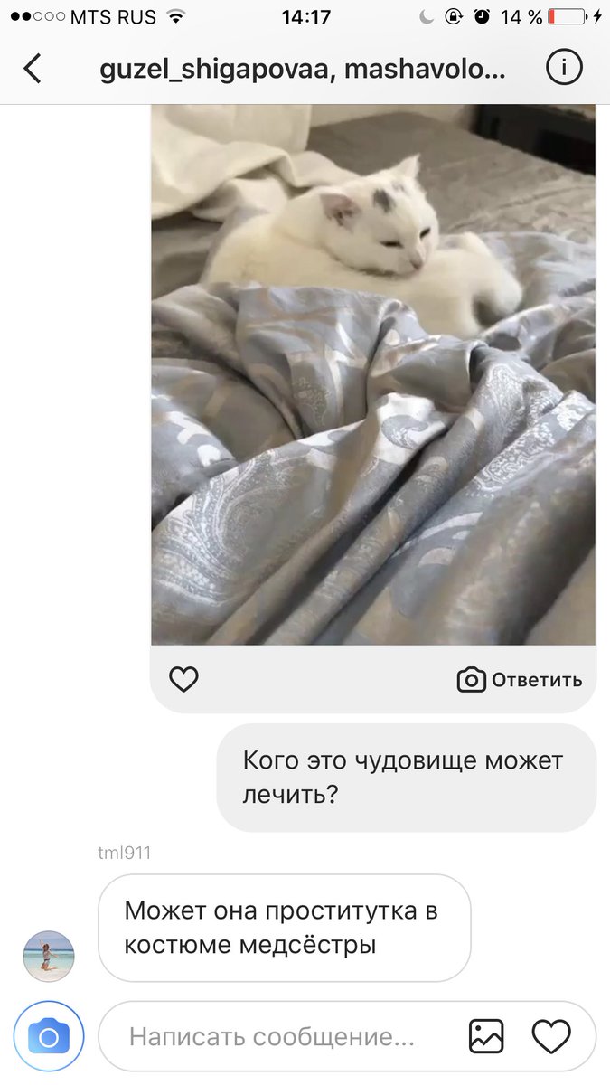 juliajulljulia's tweet photo. Без кота и жизнь не та. https://t.co/Hd5mj9SSsc