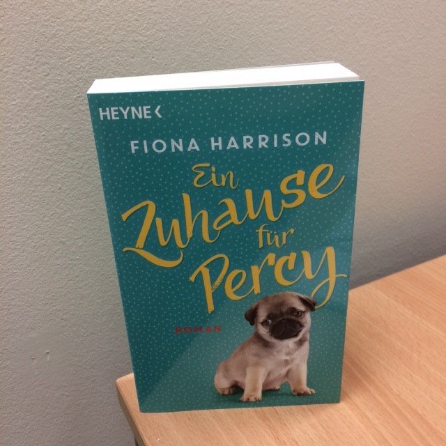 NorthbankTalent's tweet image. We 🧡 German Percy! @PugLikePercy