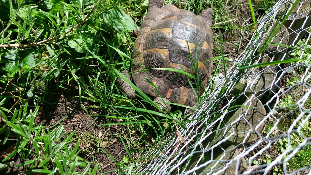 Hello, it's been a while. Entertaining some guests this afternoon.