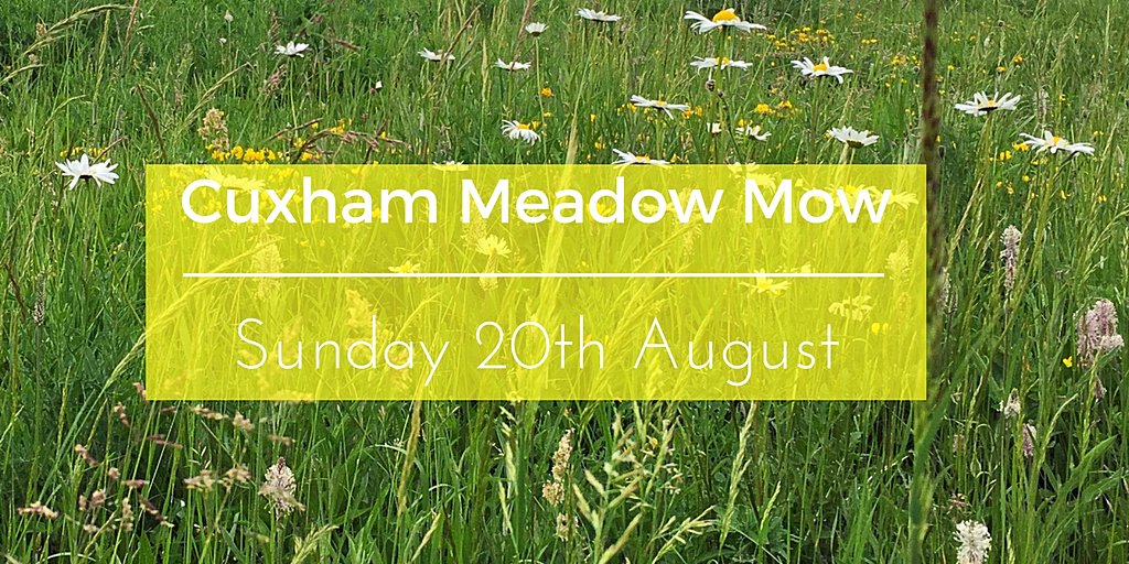 cuxhaminbloom's tweet photo. Scythe &amp; Rake at Cuxham #Wildflower Meadow Sunday, 20th August from 10.00am Everyone welcome! @OxConservation @BBOWT @WatlingtonBloom https://t.co/reoJljONvH