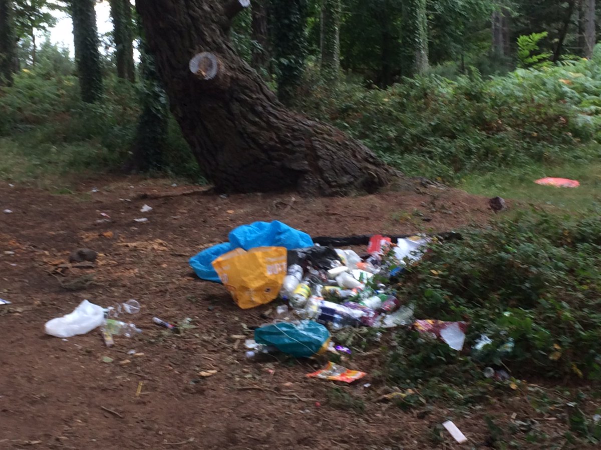 IT Illegal Dumping tweet media