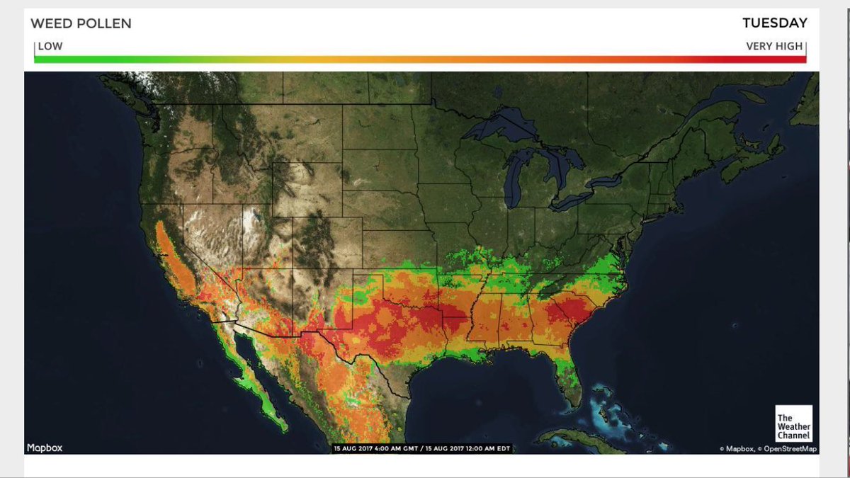AllergyKidsDoc's tweet photo. FYI - Ragweed season is fast approaching. Duh duh duh duh duh duh duh duh duuuuh. https://t.co/Hy2RAB9HoT