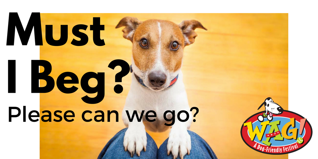 WAGfestival's tweet photo. Your pup really wants to go to WAG! This Saturday from 10-4 at Darby Bend Lakes Area of Prairie Oaks Metro Park. #GetYourWagOn https://t.co/f0t985NeYW