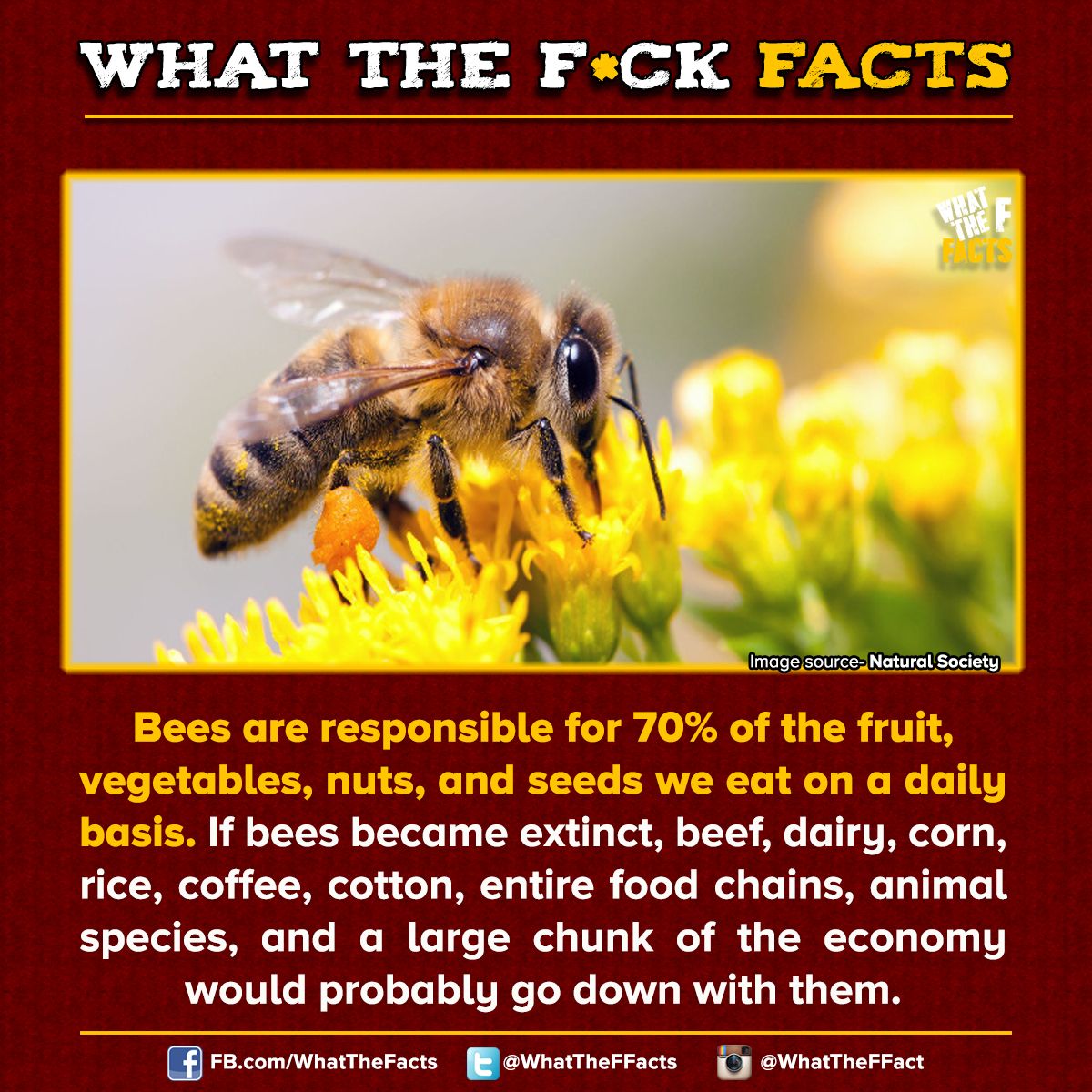 WhatTheFFacts's tweet photo. https://t.co/8mqBzR2aVn