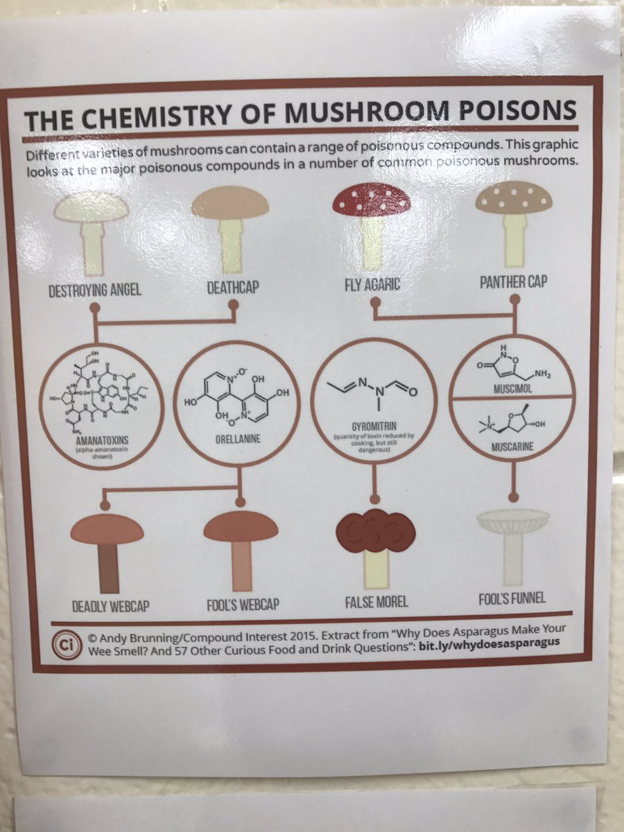 TheLackeyLab's tweet photo. What do you know about the chemistry of? #scienceisamazing #doingalittledecorating https://t.co/LzxDEYzvBK