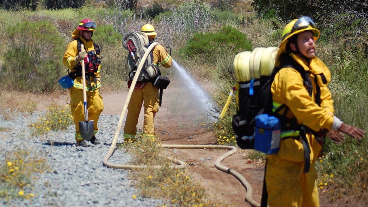 Sinds 1996 organiseert Fire Observers brandweerstages voor hulpverleners bij Amerikaanse brandweerdiensten.
brandweer.nl/brandweerneder…