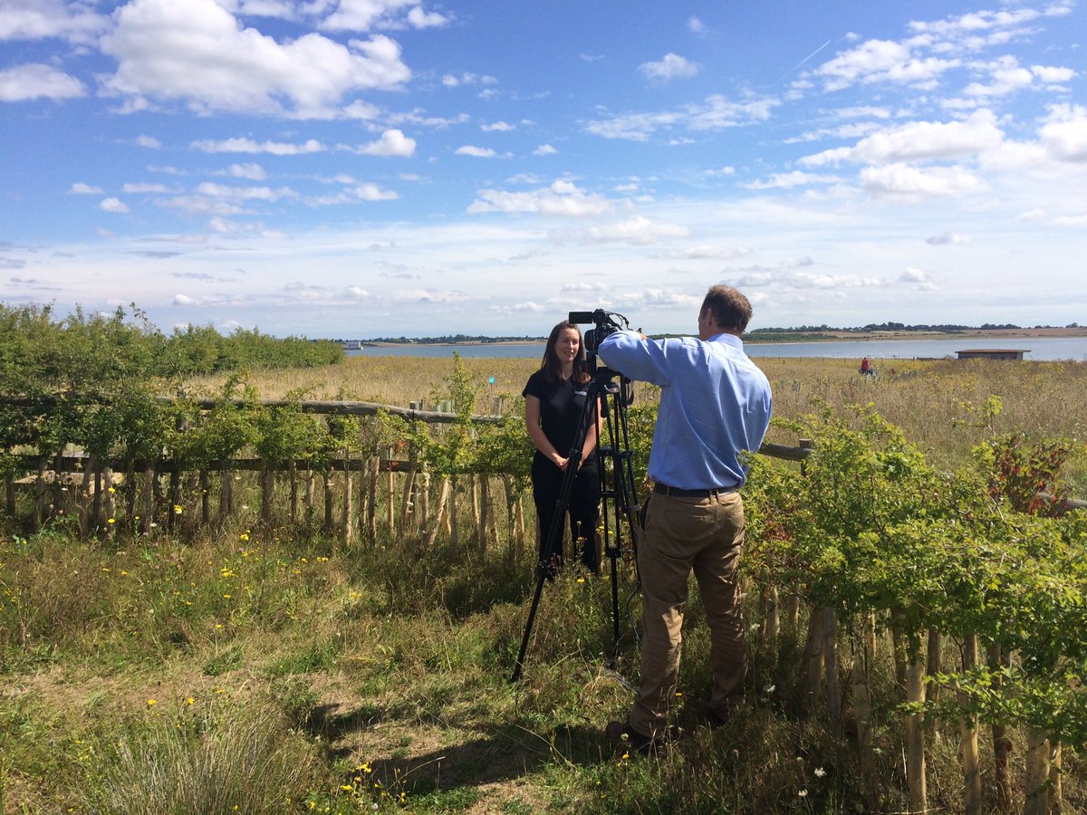 Great to have <a href="/BBCLookEast/">BBC East</a> &amp; <a href="/itvanglia/">ITV News Anglia</a> with us today filming British black #bees at #Abberton reservoir
