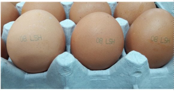 hanitweet's tweet image. [긴급] 냉장고를 열어 달걀에 찍힌 문자를 확인하세요hani.co.kr/arti/society/h…
살충제 검출 농장 달걀엔 ‘08마리’·‘08 LSH’ 표시